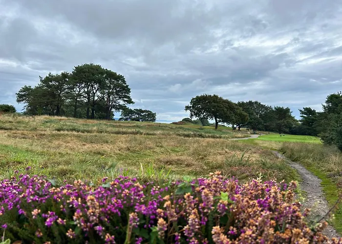 Flat In Budleigh Salterton